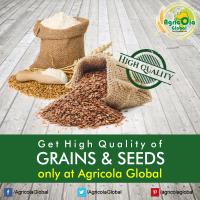 Agricola Global Ltd. image 4